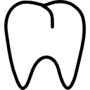 premolar (1)